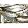 Cá trích Phú Quốc làm sạch cắt đầu - 1kg 2 vỉ - Chỉ bán tại TPHCM