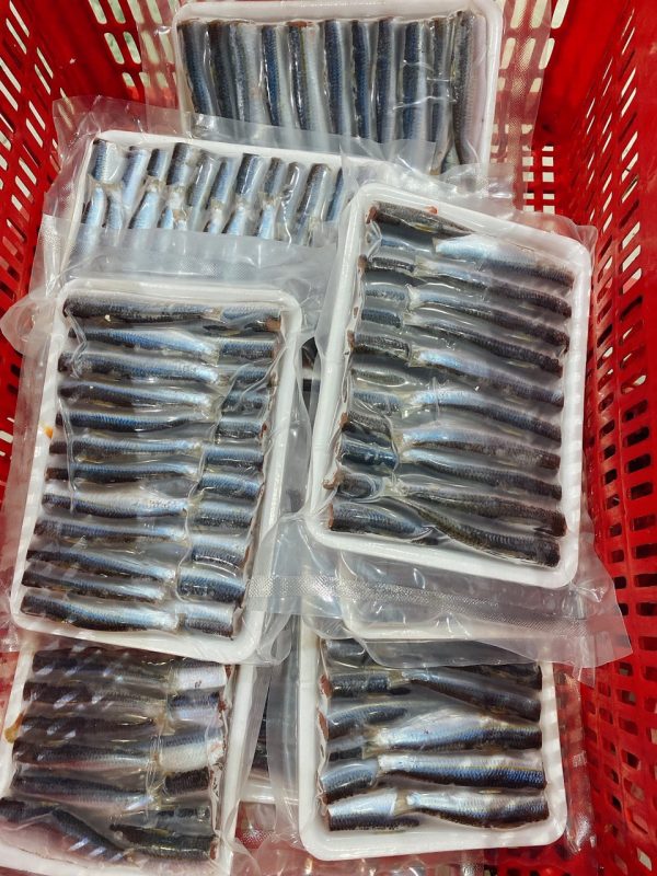 Cá trích Phú Quốc làm sạch cắt đầu - 1kg 2 vỉ - Chỉ bán tại TPHCM