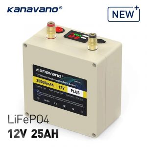 2V 25Ah Rechargeable LiFePO4 Battery Pack Built-in 12.8V 50A BMS For Golf Backup Power Solar Energy with USB +4A Charger NO18650